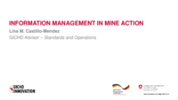 7._Information_Management_in_Mine_Action.pdf