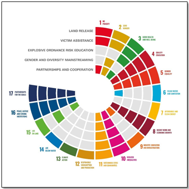 Case studies findings overview