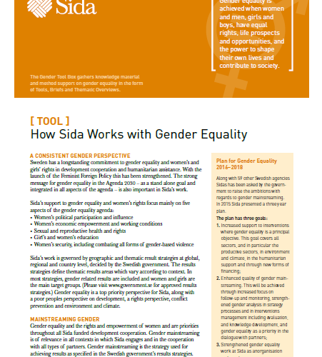How Sida Works With Gender Equality