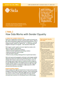 How Sida Works With Gender Equality