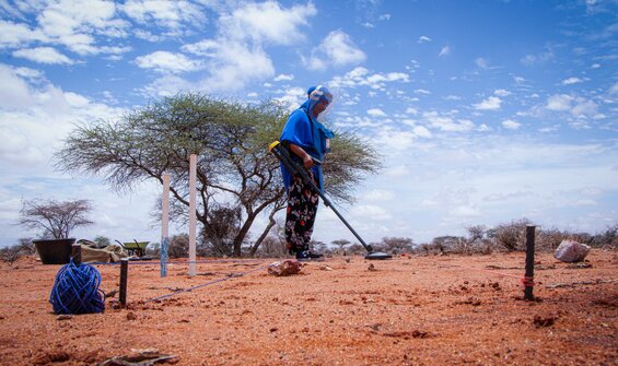 Stories from the Field