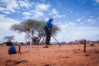 Stories from the Field
