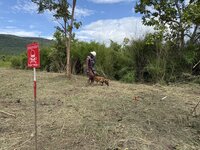 National and International Mine Action Standards