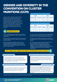 Gender and Diversity in the Convention on Cluster Munitions (CCM)