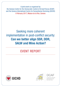 Seeking more coherent implementation in post-conflict security: Can we better align SSR, DDR, SALW and Mine Action?
