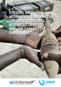 Utilizing the IATG in Conflict-Affected and Low-Capacity Environments