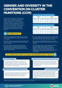 Gender and Diversity in the Convention on Cluster Munitions (CCM)