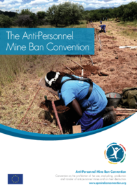 The Maputo Review Conference Outcome Document
